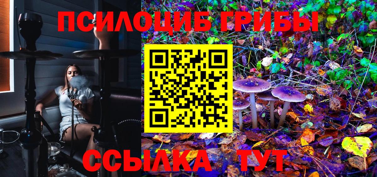 Галлюциногенные грибы MAGIC MUSHROOMS  Вход с VPN  Гулькевичи 