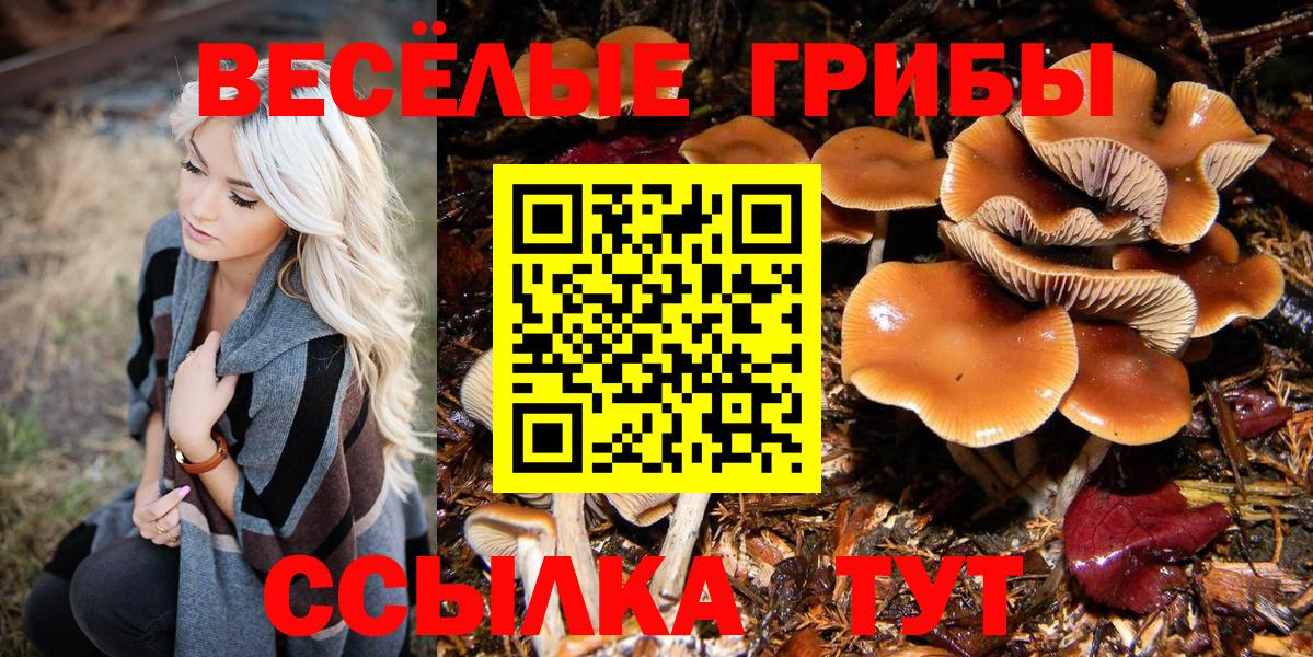 Галлюциногенные грибы Cubensis Гулькевичи